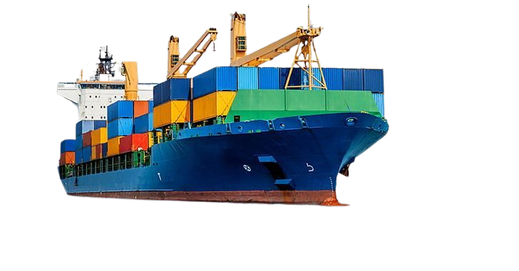 Import & Export